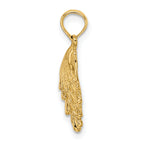 14K Lion's Paw Shell Charm