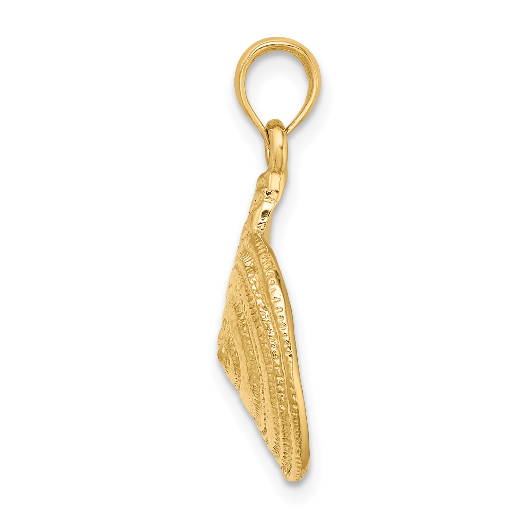 14K Textured Troca Shell Charm