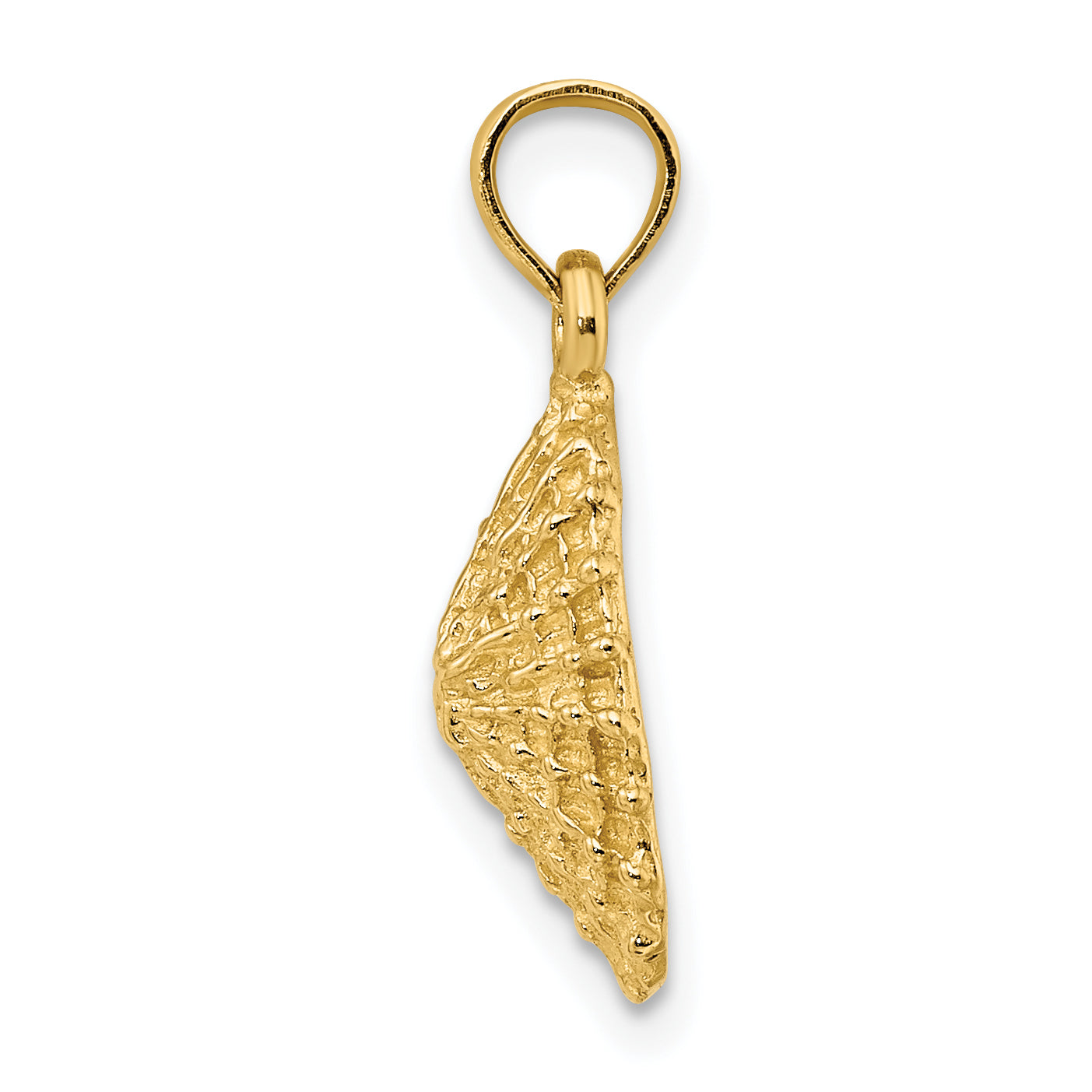 14K Textured Limpet Shell Charm Secondary image