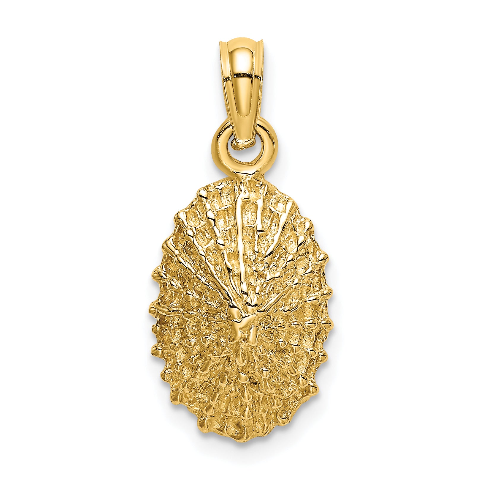 14K Textured Limpet Shell Charm Main image