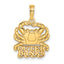 14K Polished OUTER BANKS Crab Charm