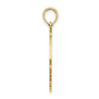 14K Polished Cut-Out ARUBA Under Angelfish Charm