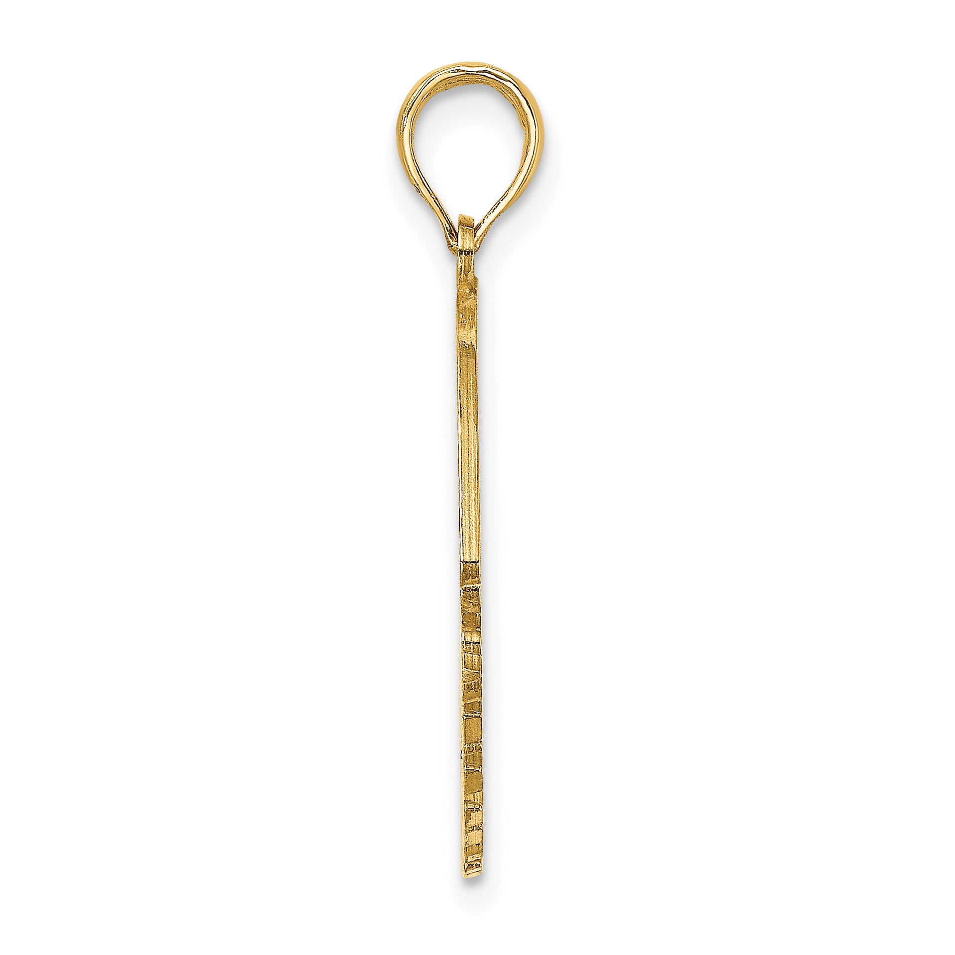 14K Polished ST. THOMAS Angelfish Charm Secondary image