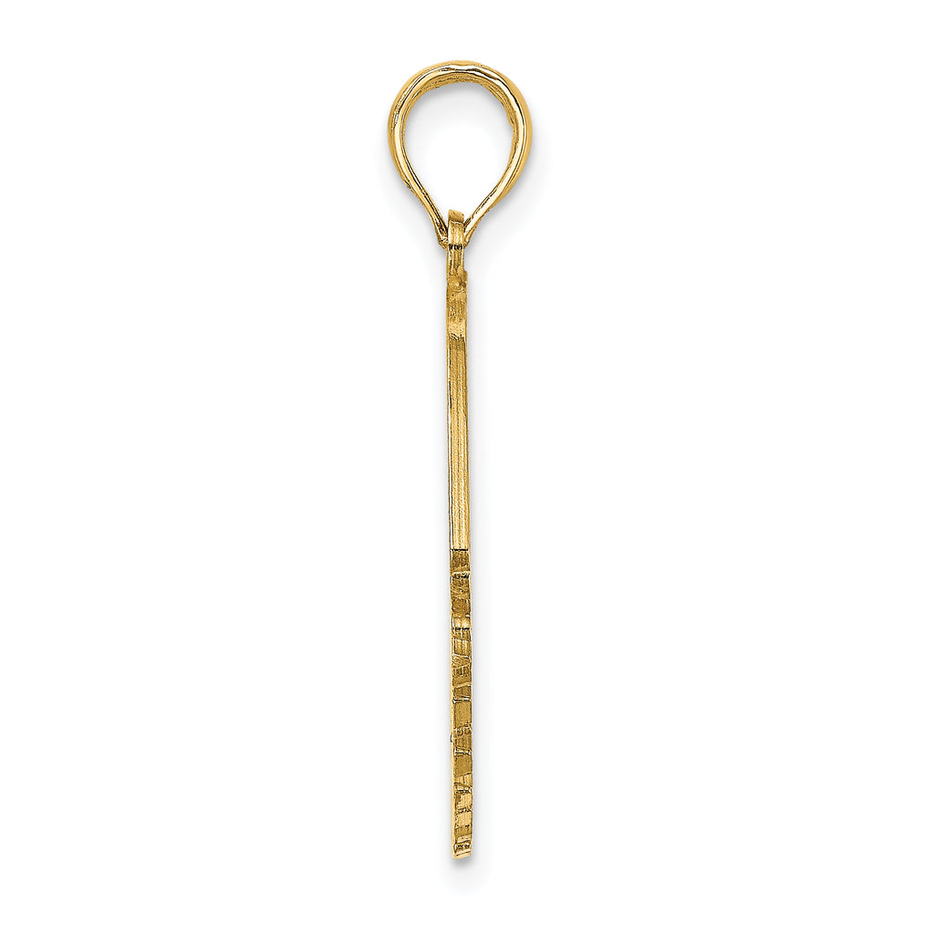 14K Polished ST. THOMAS Angelfish Charm