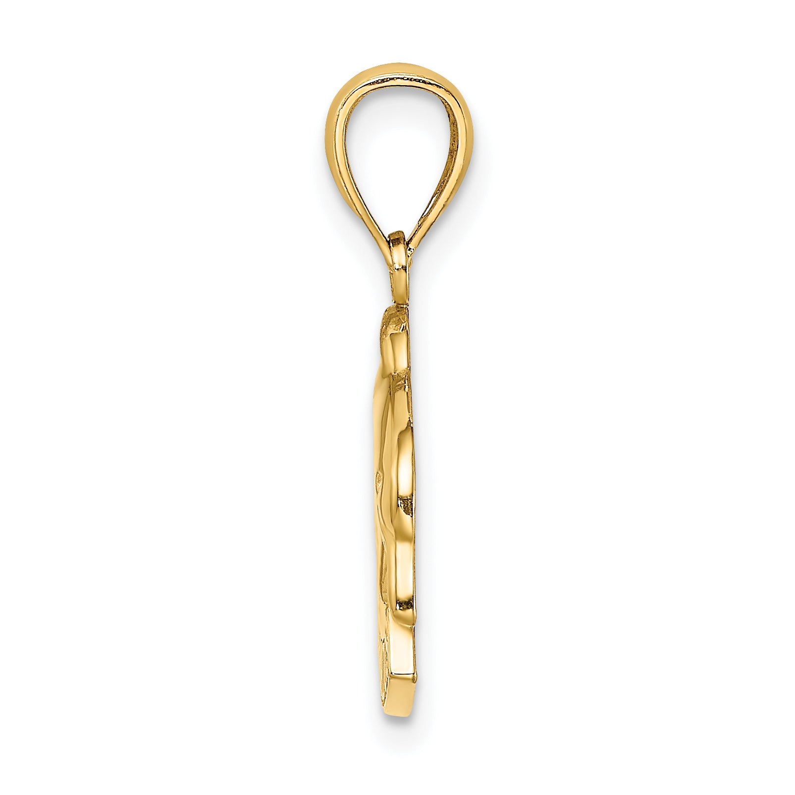 14K Polished BARBADOS Dolphin Charm Secondary image