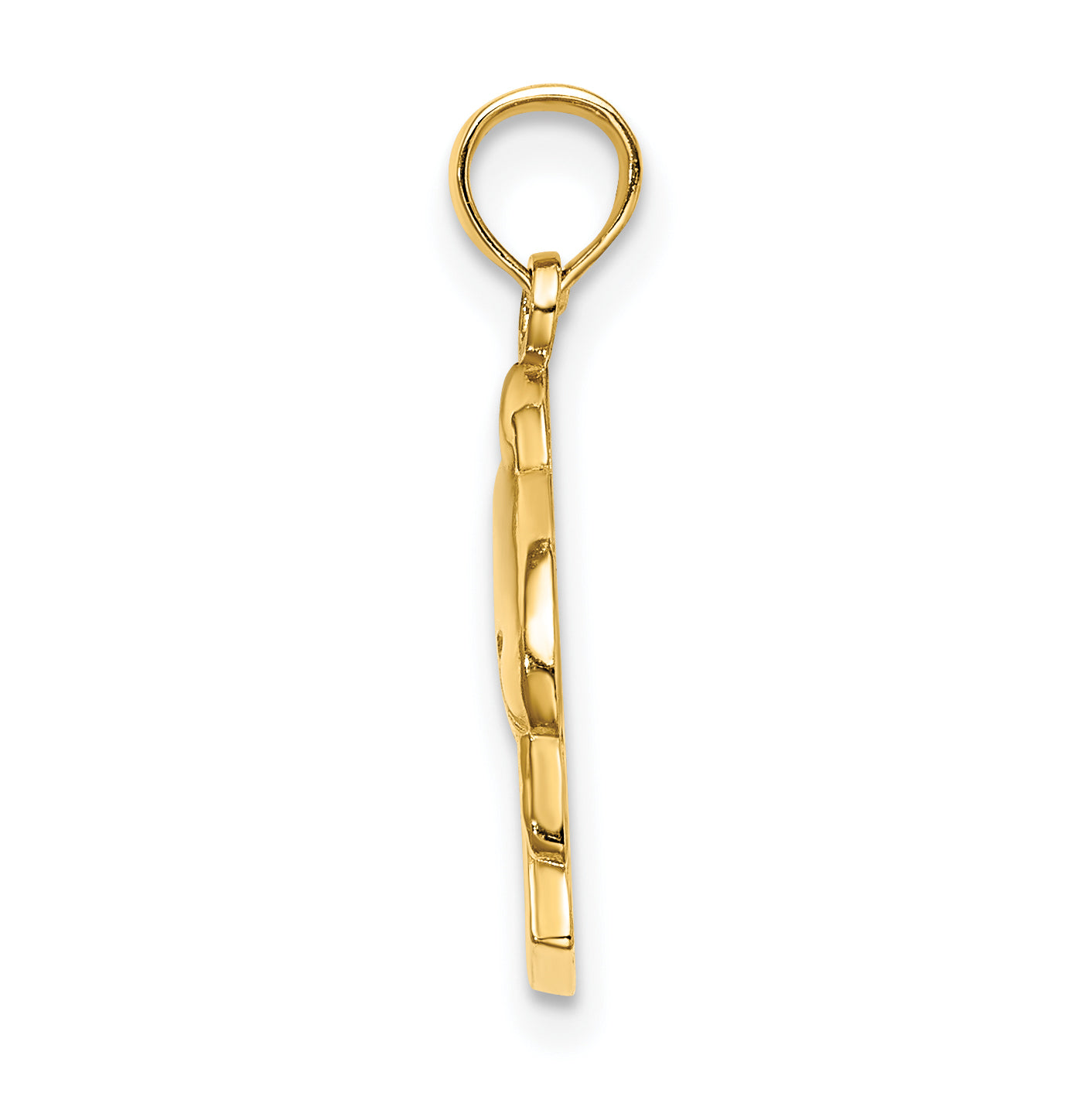 14K 2-D CURACAO Under Polished Dolphin Charm Secondary image