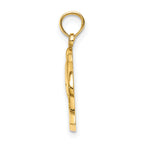 14K 2-D CURACAO Under Polished Dolphin Charm