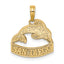 14K SAN DIEGO Banner Dolphins Charm