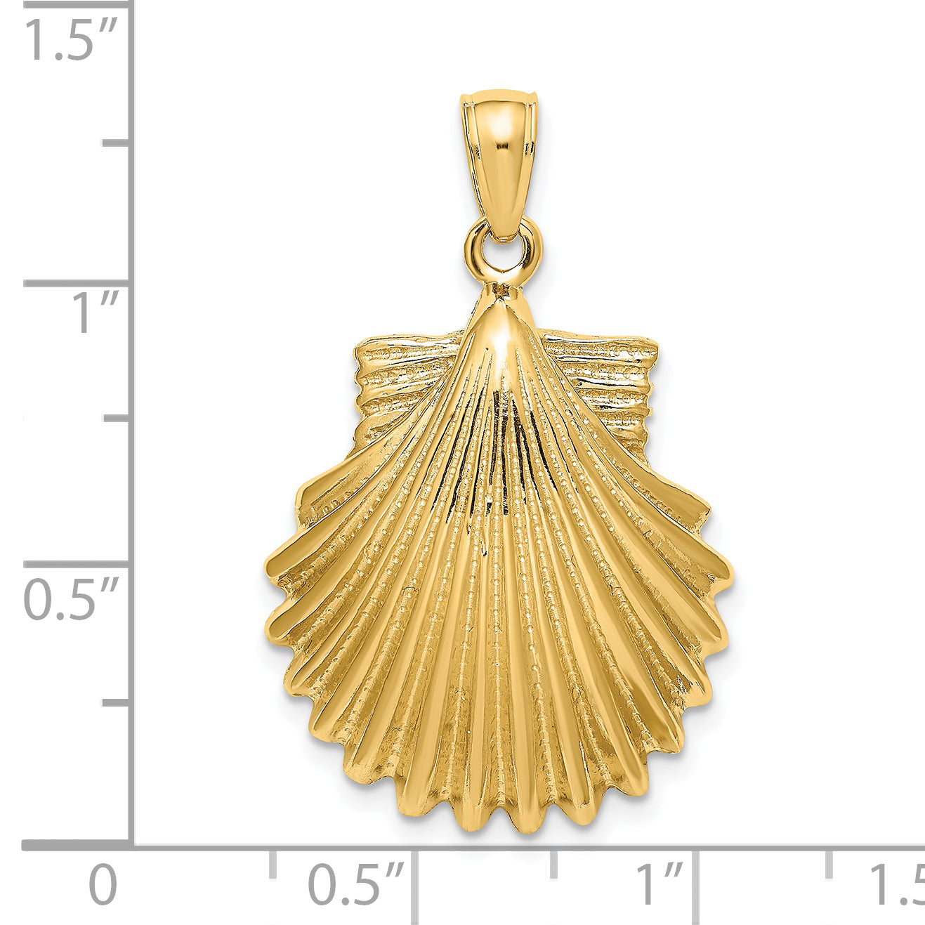 14K Polished Scallop Shell Charm
