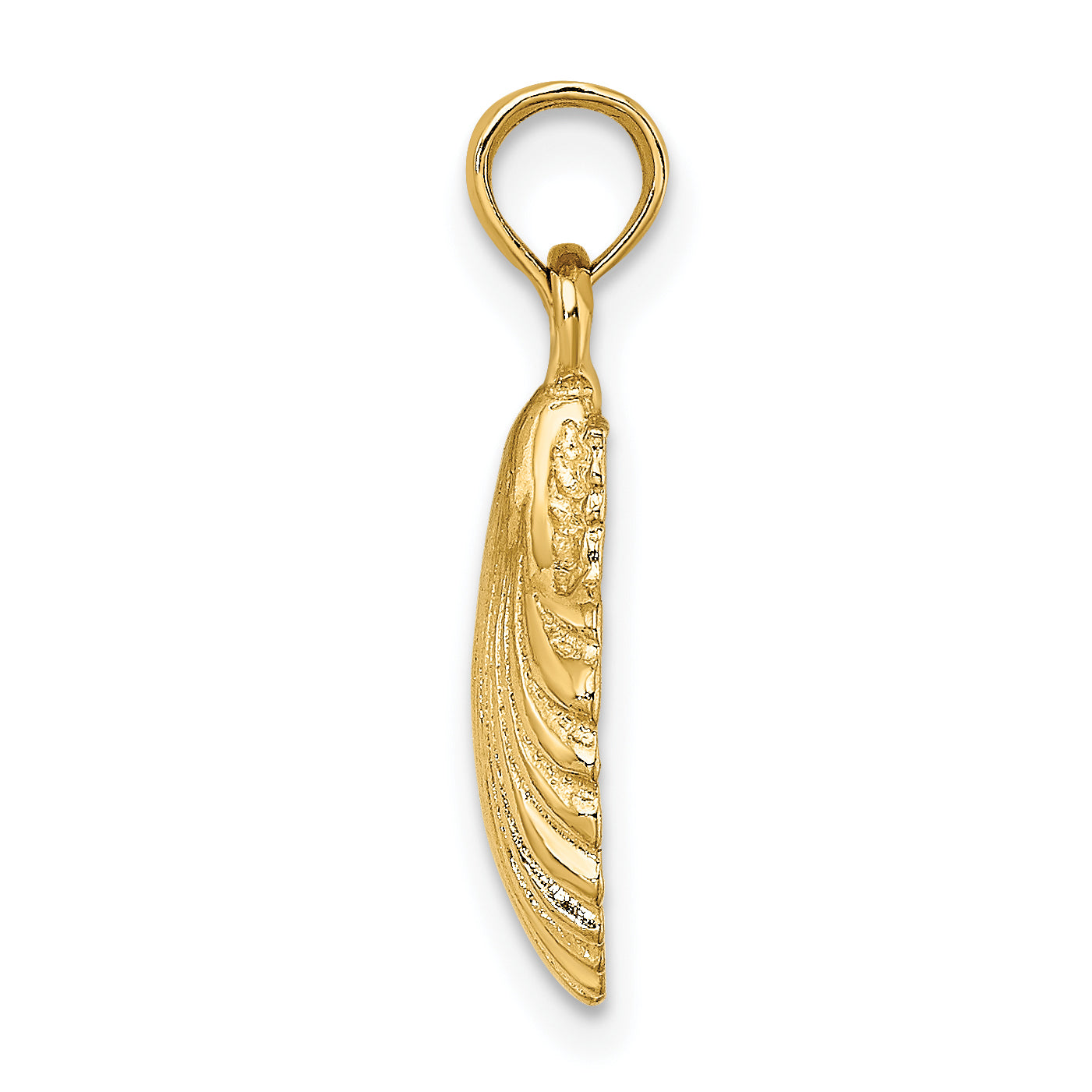 14K Polished Scallop Shell Charm Secondary image