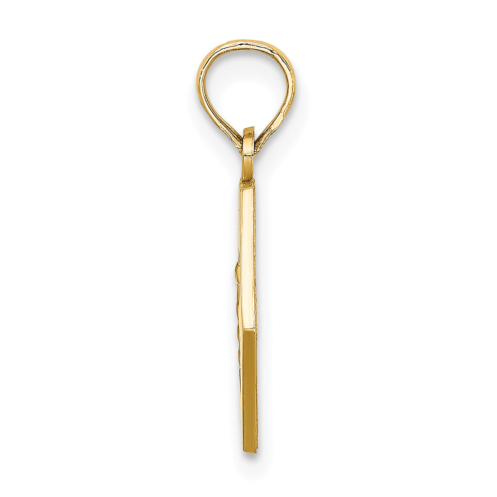 14K Caduceus Textured Back Medical Charm