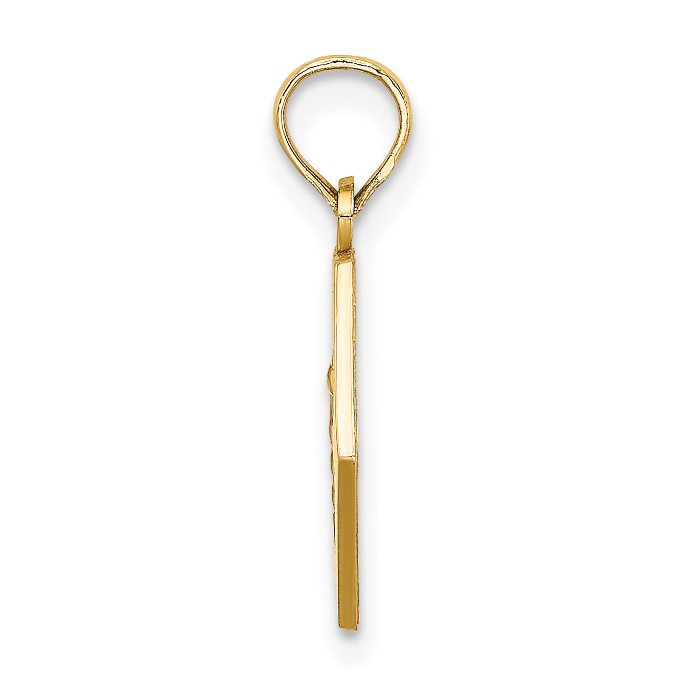 14K Caduceus Textured Back Medical Charm