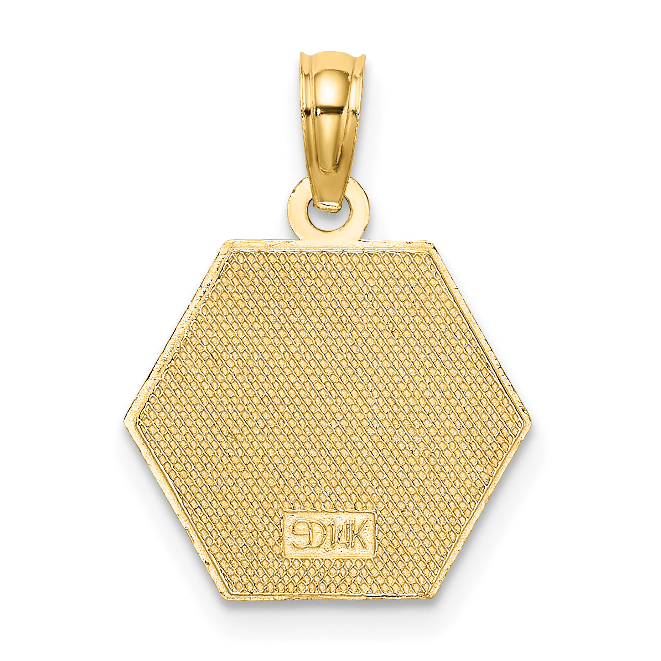 14K Caduceus Textured Back Medical Charm