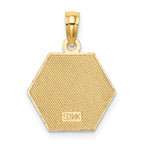 14K Caduceus Textured Back Medical Charm