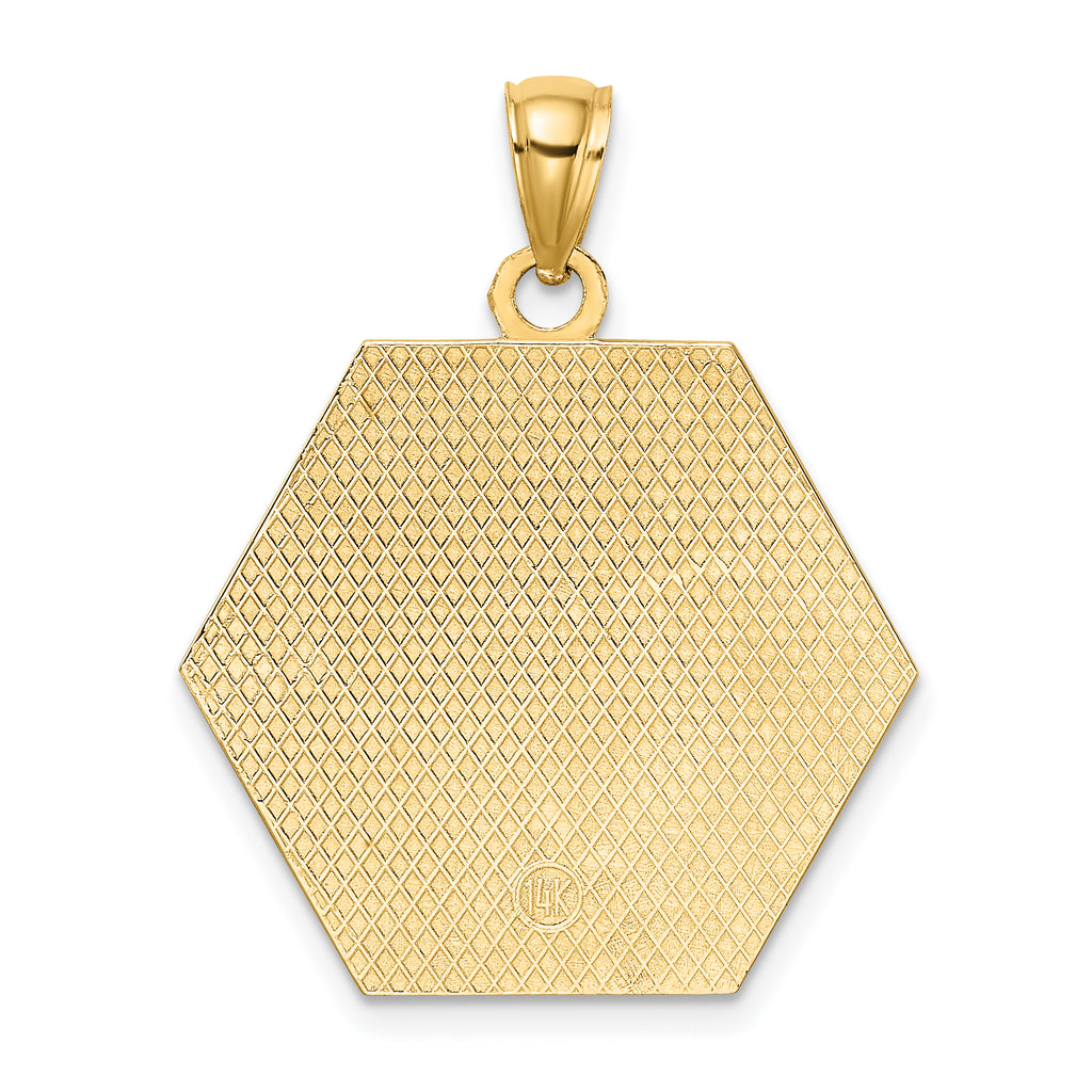 14K Textured Back Caduceus Medical Disc