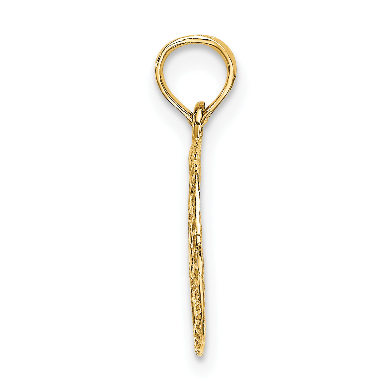 14K Engraved Star Of David In Circle Charm Secondary image