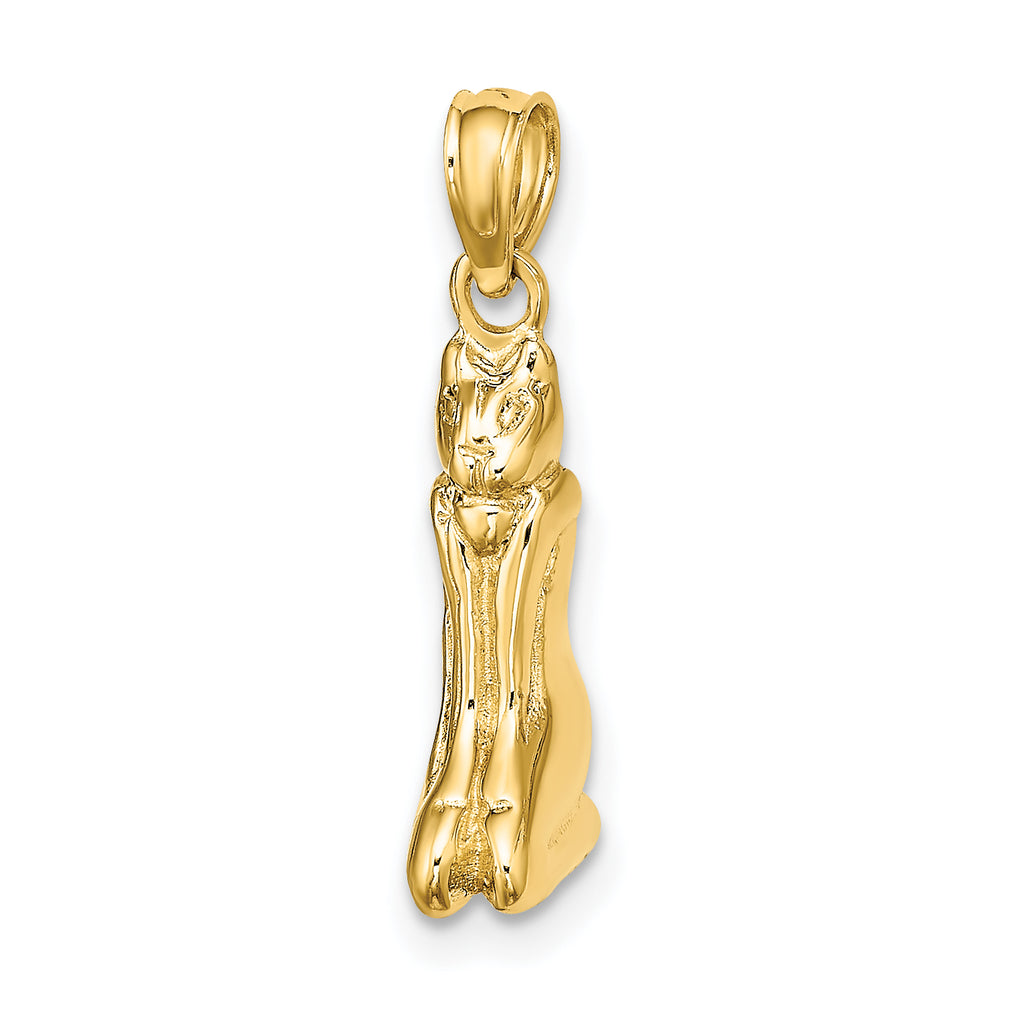 14K 3D Polished MARCO ISLAND Cat Charm