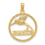 14K JAMAICA w/ Bird in Circle Charm