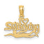 14K Polished  I HEART SWIMMING Charm