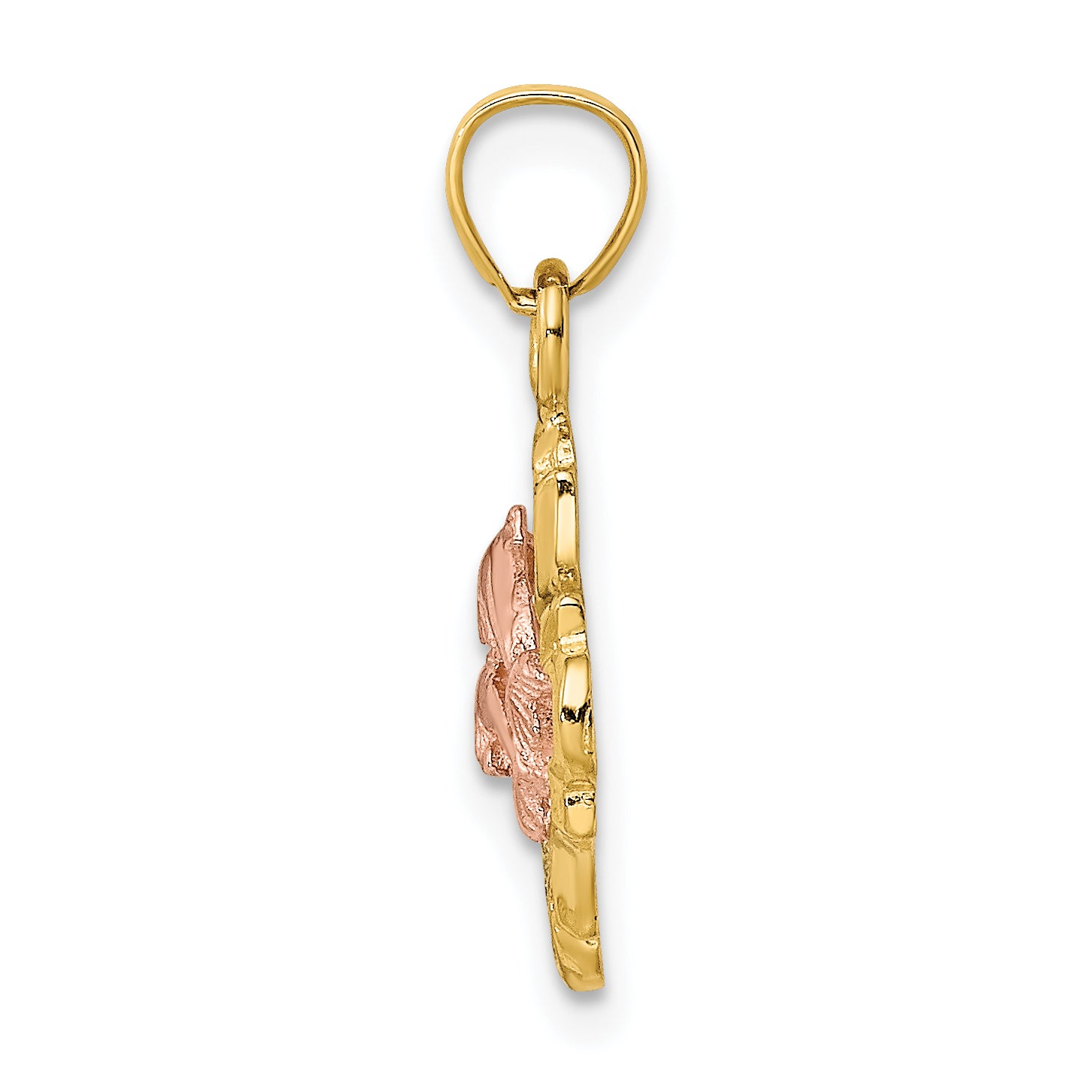 14k Two-tone with White Rhodium Double Dolphins In Frame Charm Secondary image
