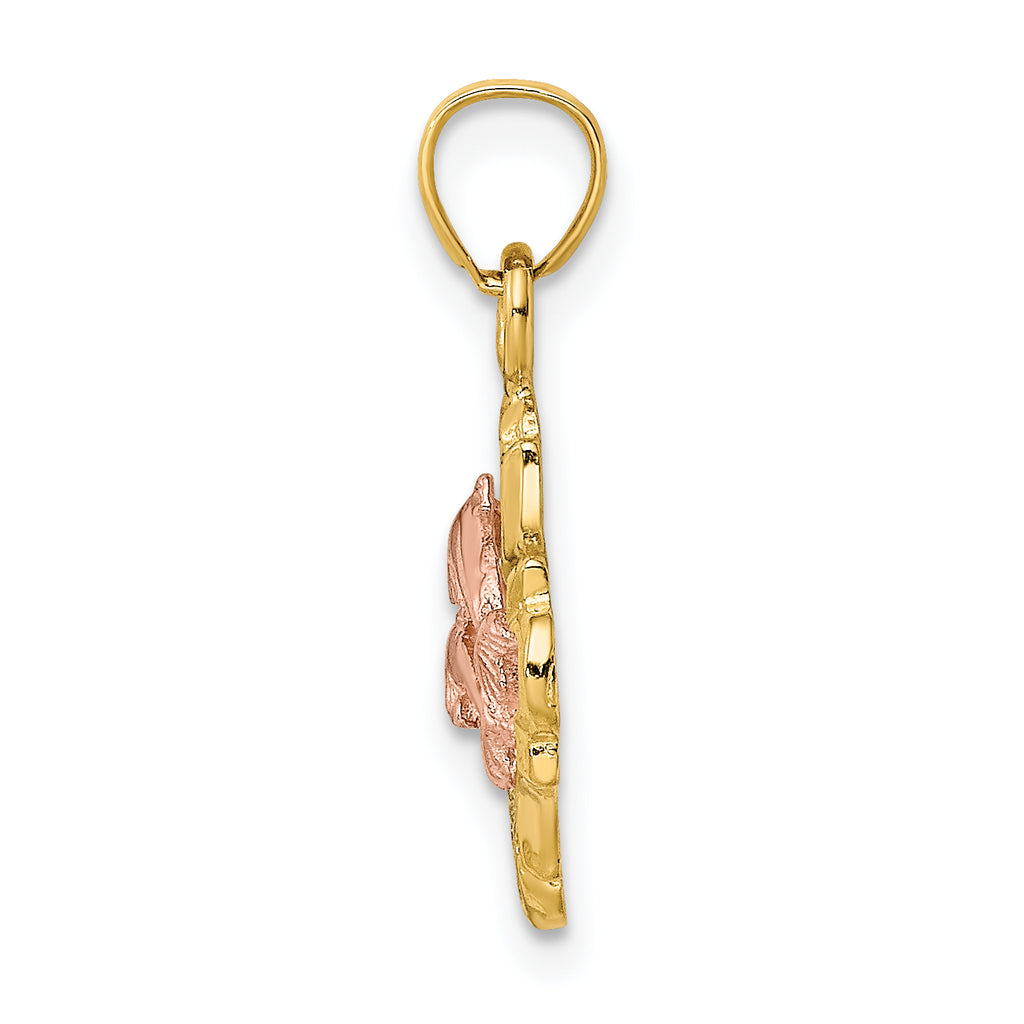 14k Two-tone with White Rhodium Double Dolphins In Frame Charm