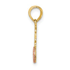 14K Two-Tone JESUS LOVES ME Charm