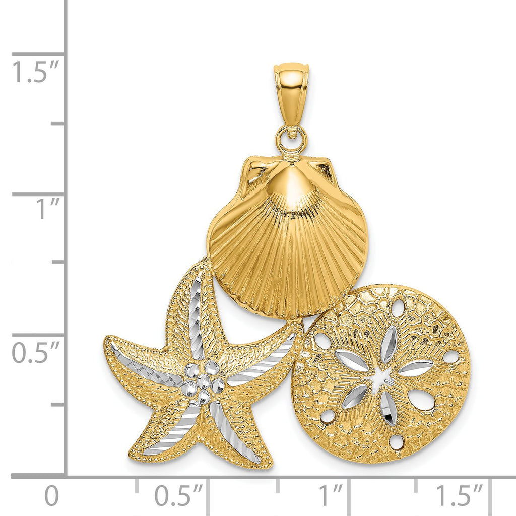 Starfish & Sand Dollar Charm in 14K Yellow Gold, 36mm Diamond-Cut - Sophia Jewelers