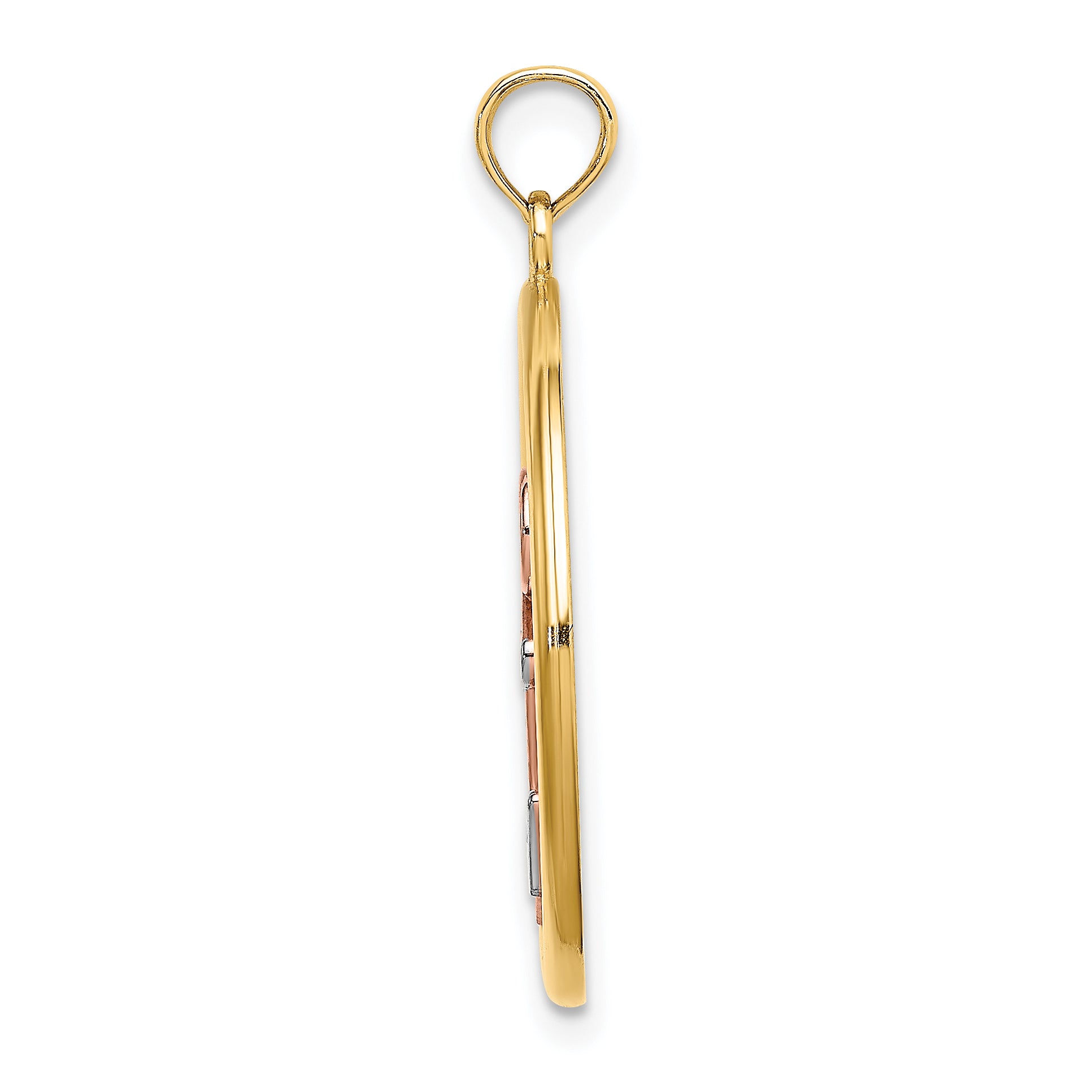 14K Two-tone w/White Rhodium Anchor In Circle Charm Secondary image