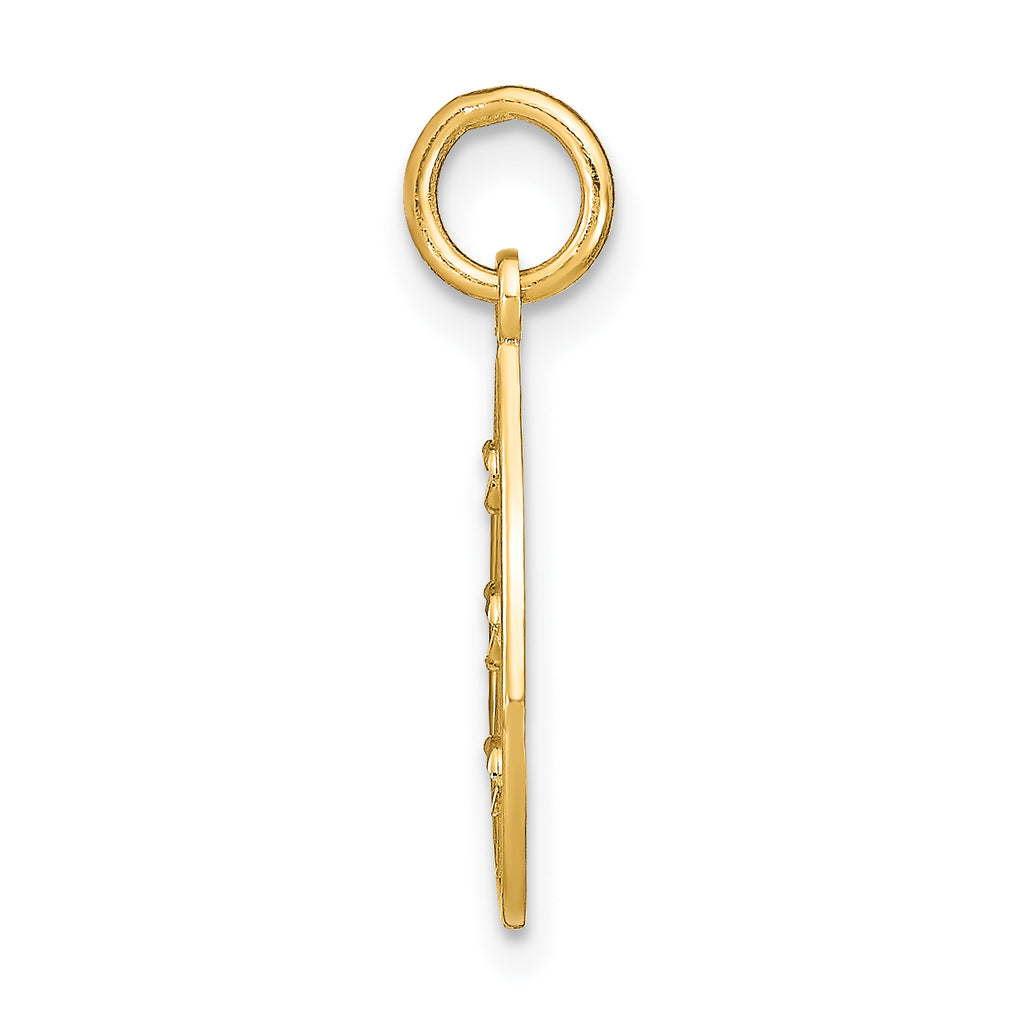14K w/Rhodium D/C Small Teardrop Charm