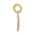 14K w/Rhodium and D/C Mini Pinwheel Medallion Charm