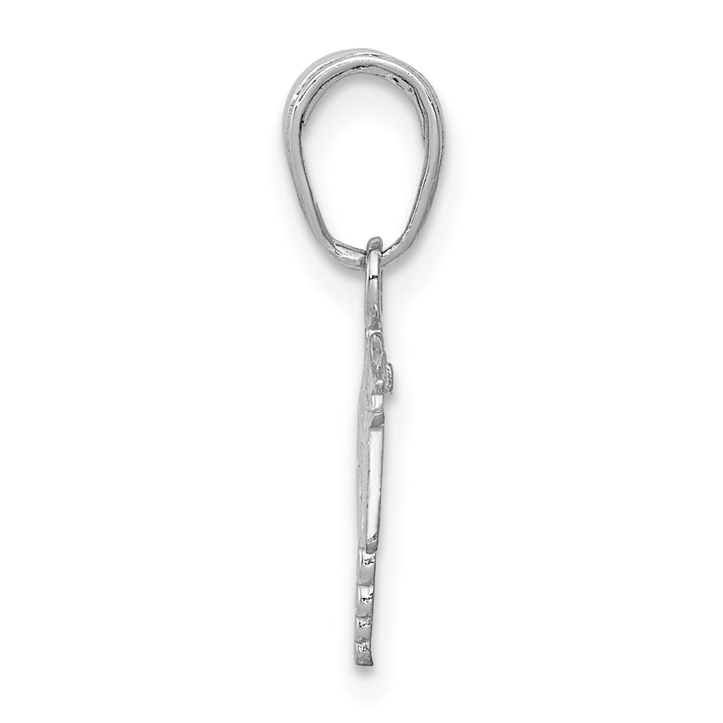 Registered Nurse Caduceus Charm in 14K White Gold, 20mm - Sophia Jewelers
