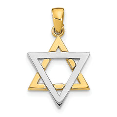 14K Two-Tone Star Of David Charm