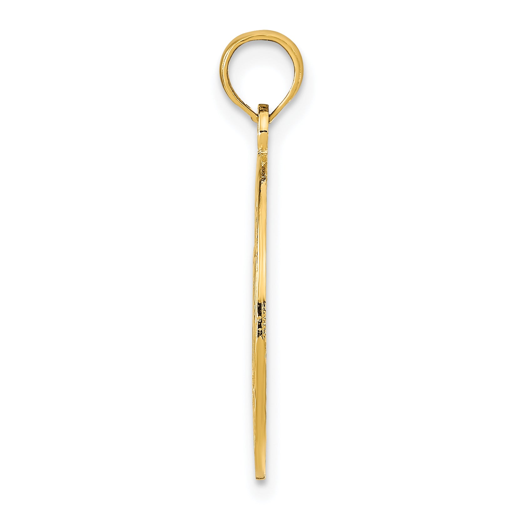 14K MARCO ISLAND with Dolphins Circle Pendant Secondary image