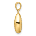 Cowrie Shell Pendant in 14K Yellow Gold, 20mm - Sophia Jewelers