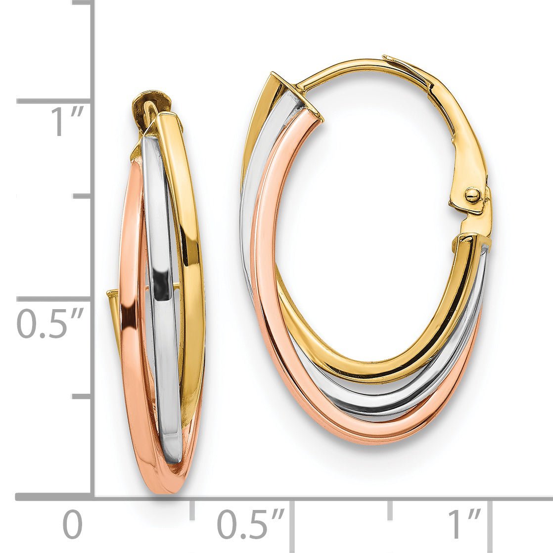 14K Tri-color Polished Hoop Earrings
