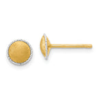 14K with White Gold Accent Brushed Post Earrings