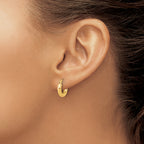 14k Polished 3mm Polished Hoop Earrings