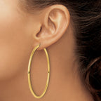 14k Polished 2.5mm Polished Hoop Earrings