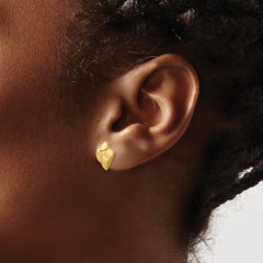 14K Polished and Brushed Fancy Post Earrings