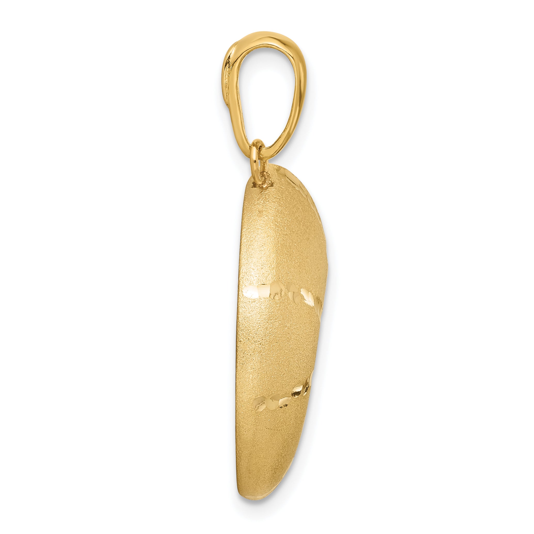 14k Satin D/C Nautilus Shell Pendant Secondary image