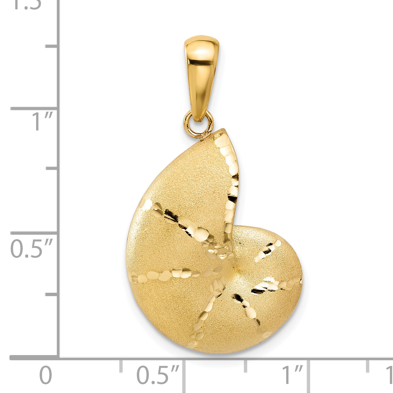 14k Satin D/C Nautilus Shell Pendant