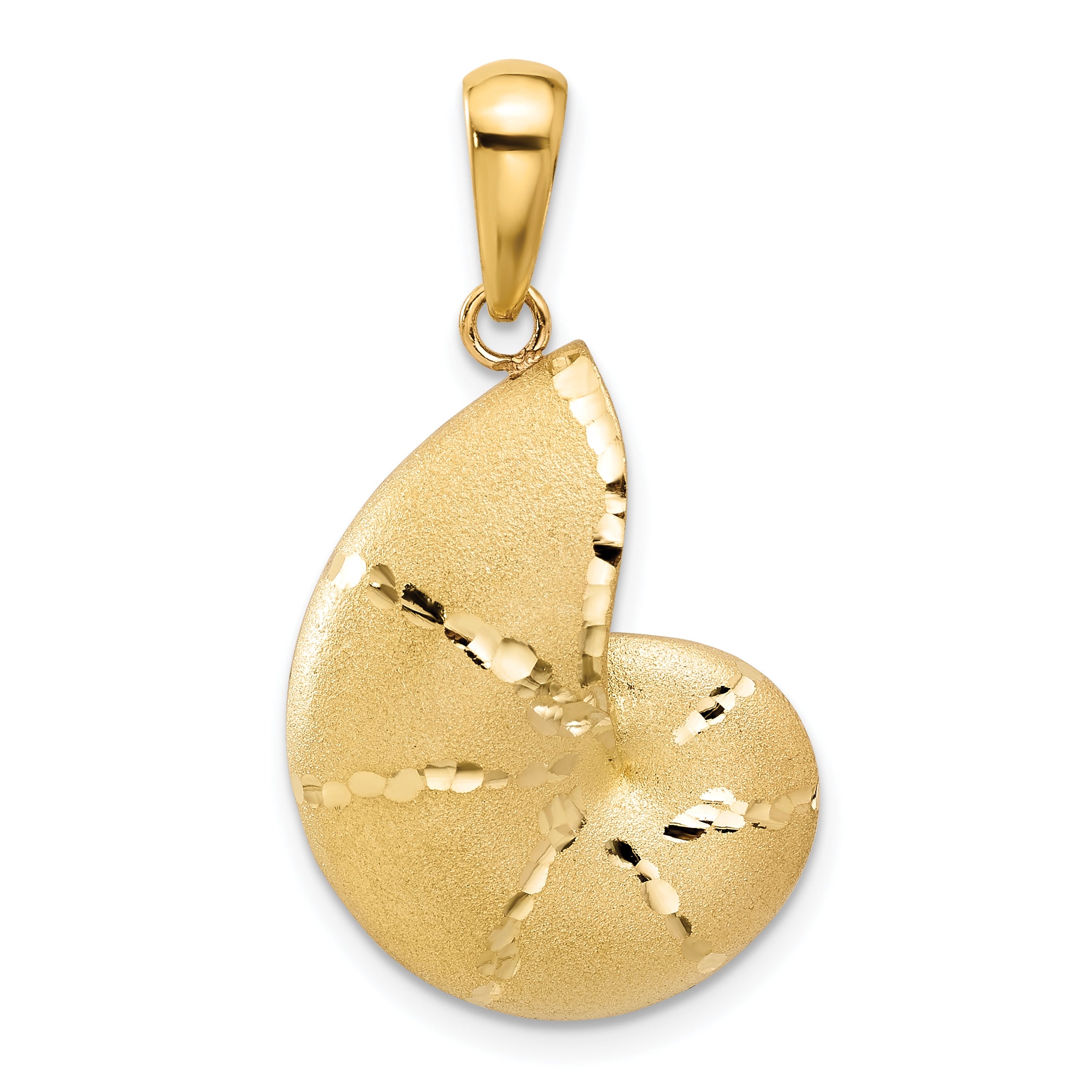 14k Satin D/C Nautilus Shell Pendant Main image