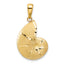 14k Satin D/C Nautilus Shell Pendant