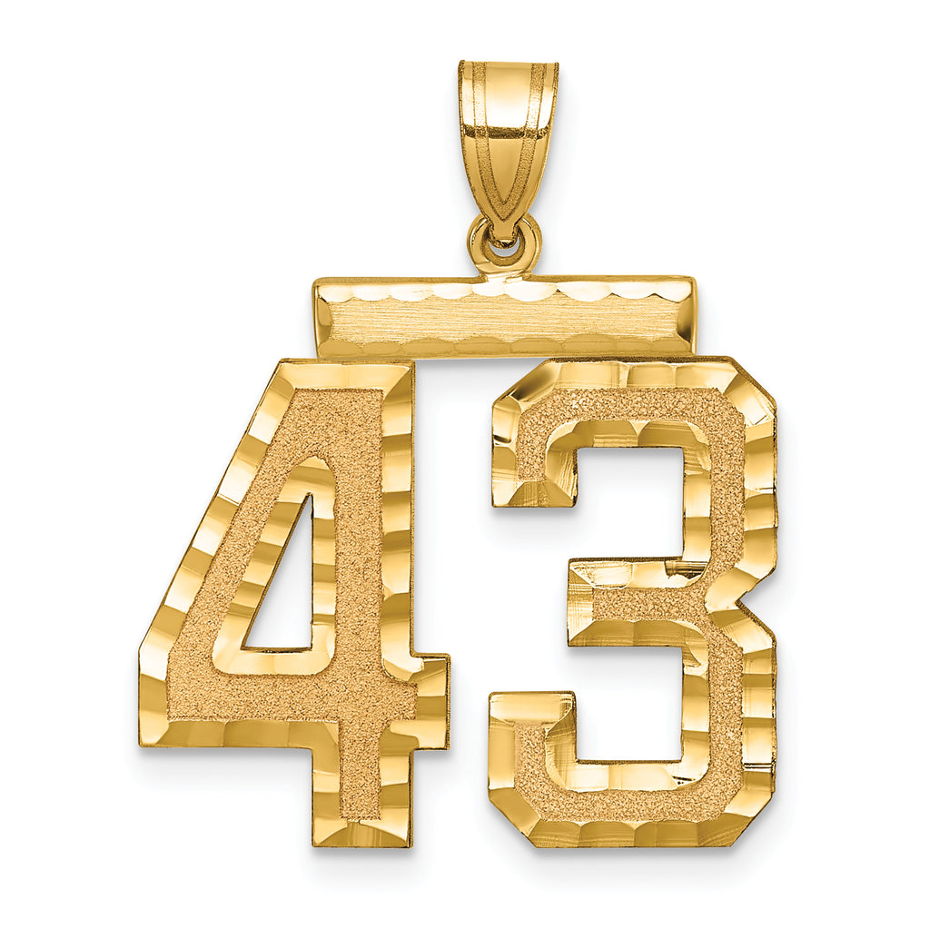14k Large Brushed Diamond-cut Number 43 Charm