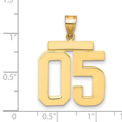 10k Large Polished Number 05 Charm