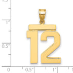 10K Yellow Gold Polished Large Number 12 Charm