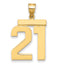 10K Yellow Gold Polished Large Number 21 Charm