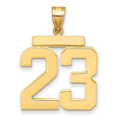 10k Large Polished Number 23 Charm