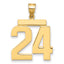 10K Yellow Gold Polished Large Number 24 Charm