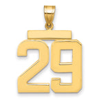 10K Yellow Gold Polished Large Number 29 Charm